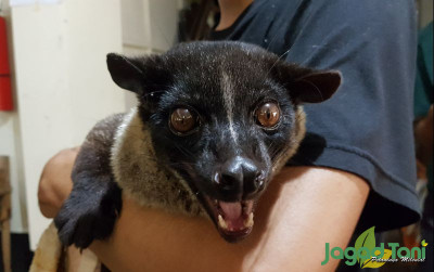 uploads/news/2021/09/vaksinasi-rabies-gratis-di-17762a020d458c3_400.jpg