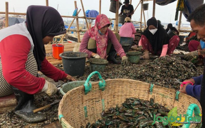 uploads/news/2021/10/cara-tepat-membersihkan-kerang-50469a8525ac825_400.jpeg