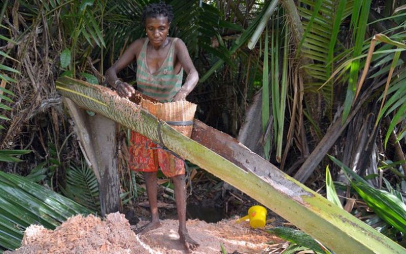 uploads/news/2021/10/hutan-sagu-jadi-lahan-63414fbf32f7990.jpg