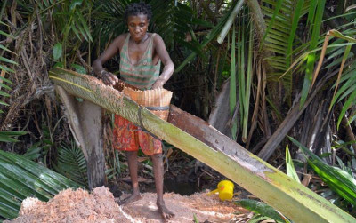 uploads/news/2021/10/hutan-sagu-jadi-lahan-63414fbf32f7990_400.jpg