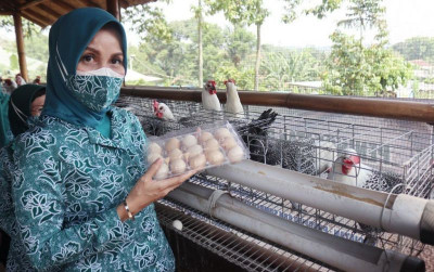 uploads/news/2021/10/kader-pkk-ramai-ramai-panen-658102b004f8127_400.jpg