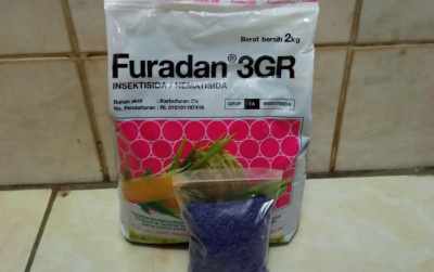 uploads/news/2021/10/mengenal-furadan-pembasmi-hama-825340f5077489b_400.jpg