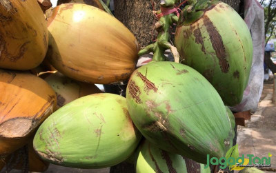 uploads/news/2021/10/mengonsumsi-air-kelapa-saat-337945fa0420ddc_400.jpeg