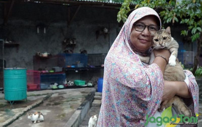 uploads/news/2021/10/mitos-ari-ari-kucing-pembawa-58130b3e270b0b7_400.jpg