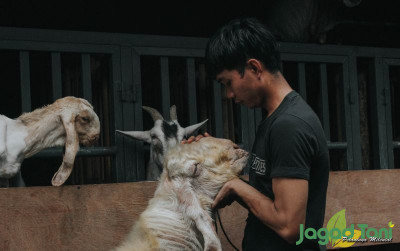 uploads/news/2021/10/obat-alami-jika-kambing-7241551d82f8dce_400.jpg