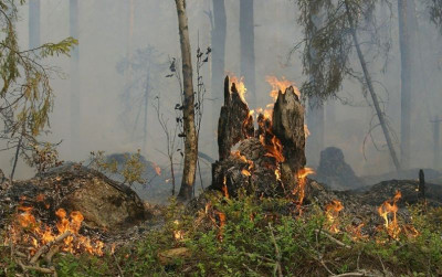 uploads/news/2021/10/pemanasan-global-dan-kebakaran-71848afc4d9b163_400.jpg