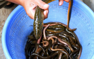 uploads/news/2021/10/raup-untung-dari-bisnis-45340237d0569b7_400.jpg