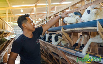 uploads/news/2021/10/sumpah-pemuda-dan-semangat-892577d42fb81d2_400.jpg