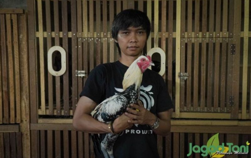 uploads/news/2021/11/cara-ampuh-mengobati-penyakit-95003c5e890d3d4.jpg