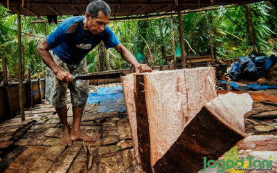 uploads/news/2021/11/harga-fantastis-kayu-langka-895290eefb51a2d_400.jpg