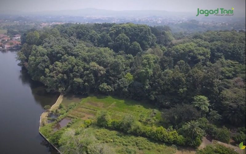 uploads/news/2021/11/hutan-sebagai-penyelamat-kehidupan-16640673c5d983c.jpg