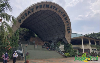 uploads/news/2021/11/kabar-gembira-ragunan-kembali-42257c270eb7dd0_400.jpg