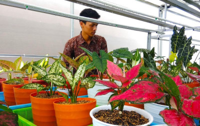 uploads/news/2021/11/keren-santri-ponpes-al-ghozaly-64561c97e6adec6_400.jpg