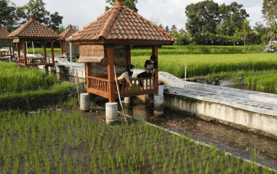 uploads/news/2021/11/memanjakan-mata-di-kampung-4033505dfa8af87_400.png