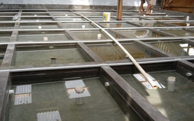 uploads/news/2021/11/mengintip-cuan-peternak-udang-50477708c881cdd_400.jpeg