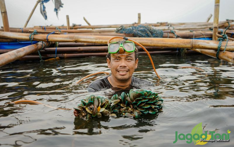 uploads/news/2021/11/nelayan-dan-petani-kalianlah-515025e0e36ee24.jpg