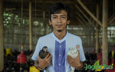 uploads/news/2021/11/rahasia-daging-ayam-kampung-881916fafa3eefc_400.jpg