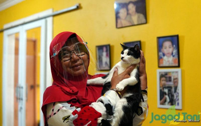 uploads/news/2021/11/stop-penganiayaan-kucing-terlantar-18143d566538361_400.jpg