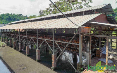 uploads/news/2021/12/ini-kandang-ayam-yang-1285093830b62e4_400.jpg