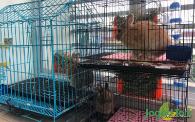 uploads/news/2021/12/ini-suhu-ruang-ideal-57684a5a4c3b71e_400.jpeg