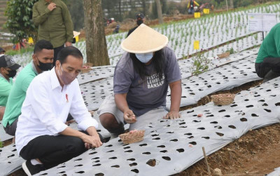 uploads/news/2021/12/jokowi-tanam-bawang-di-770512ac95acd80_400.jpg