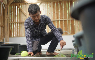 uploads/news/2021/12/lulusan-sd-sukses-ternak-46771bff30122c7_400.JPG