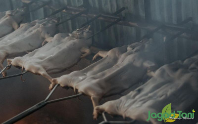 uploads/news/2021/12/menyantap-babi-panggang-di-31315570463b483_400.jpeg