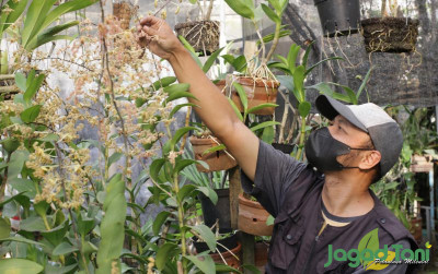 uploads/news/2021/12/modal-kecil-bisa-bangun-472383f7c143122_400.JPG