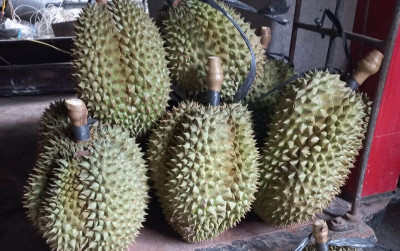 uploads/news/2021/12/panen-raya-saatnya-mulai-82384721dbc5939_400.jpeg