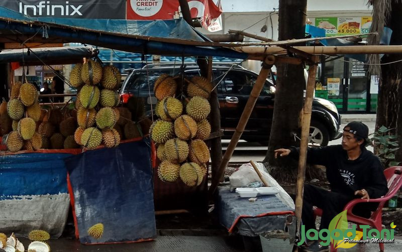 uploads/news/2021/12/penjual-durian-pernah-rugi-234310f542be19e.jpg