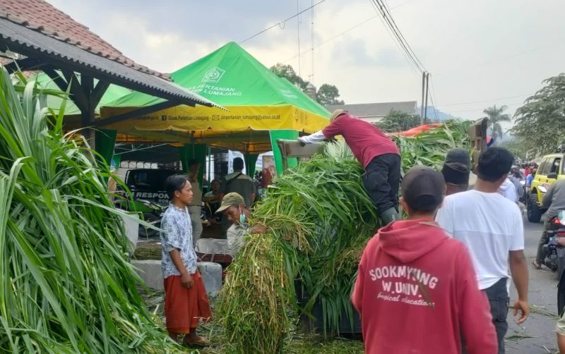 uploads/news/2021/12/posko-ternak-untuk-hewan-39185585b70f71f.jpeg