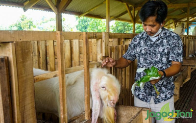 uploads/news/2021/12/raup-ratusan-juta-dari-98724dd767302a5_400.jpg