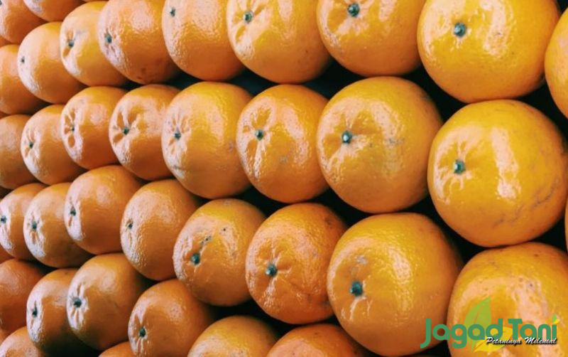 uploads/news/2021/12/sayur-dan-buah-untuk-1366108a4eaec73.jpg