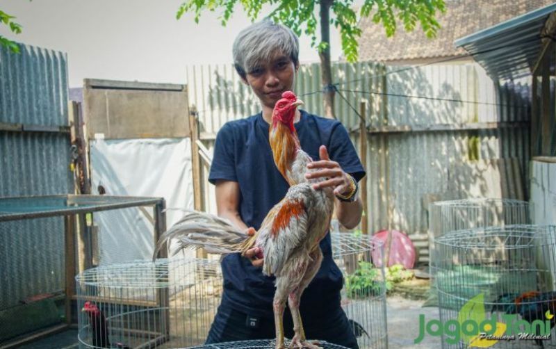 uploads/news/2021/12/tips-ampuh-mencegah-penyakit-89395a3dbeaee90.jpg