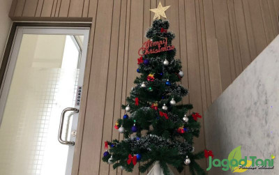 uploads/news/2021/12/tips-memilih-pohon-natal-49120e3db6e23ba_400.jpeg