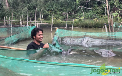 uploads/news/2021/12/untung-rugi-petani-ikan-825592d96cbaec2_400.jpeg