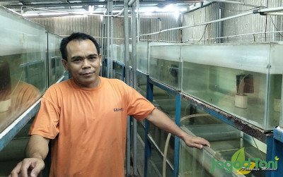uploads/news/2022/01/budidaya-ikan-hias-jadi-484516b7711f89d_400.jpg