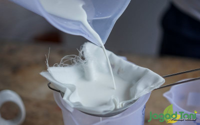 uploads/news/2022/01/ciri-ciri-susu-kambing-yang-533034fae763ea5_400.jpg