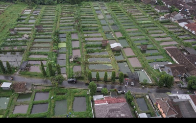 uploads/news/2022/01/kampung-lele-boyolali-terobosan-473296b9bba8671_400.jpeg