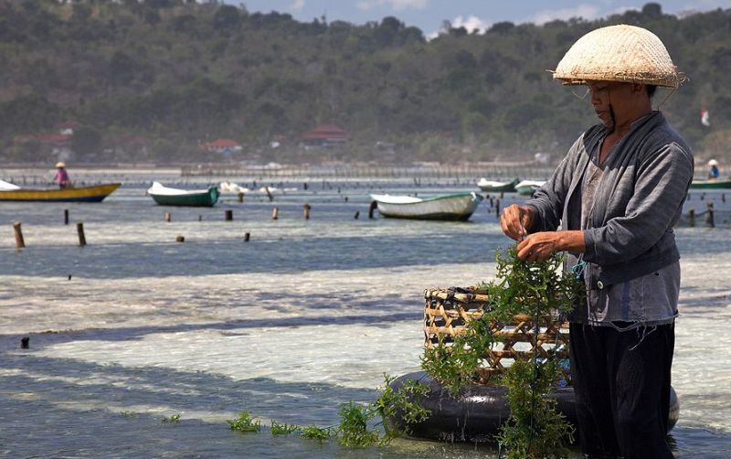 uploads/news/2022/01/kkp-dukung-inovasi-pupuk-59352da300608ca.jpg