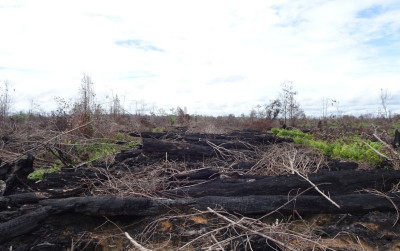 uploads/news/2022/01/klhk-gugat-perusahaan-penyebab-1634265034cc1a9_400.jpeg