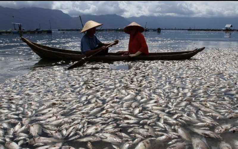 uploads/news/2022/01/mengenaskan-ini-penyebab-ribuan-6900772371b116e.jpg
