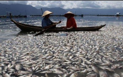 uploads/news/2022/01/mengenaskan-ini-penyebab-ribuan-6900772371b116e_400.jpg