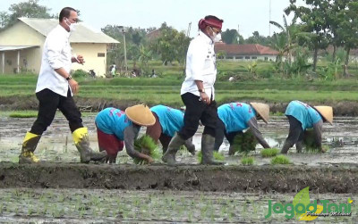 uploads/news/2022/01/menteri-pertanian-dorong-percepatan-483987fe9545ac9_400.jpg