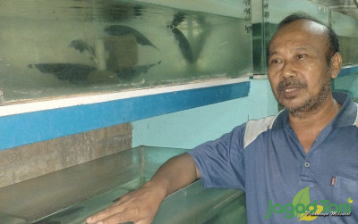 uploads/news/2022/01/mina-mustika-pembudidaya-ikan-99028cbbed176a5_400.jpg