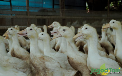 uploads/news/2022/01/ternyata-ini-alasan-orang-813873cea66f7f2_400.jpg