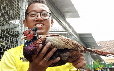 uploads/news/2022/02/klaten-raup-cuan-dari-36590bef6865dc8_400.jpg
