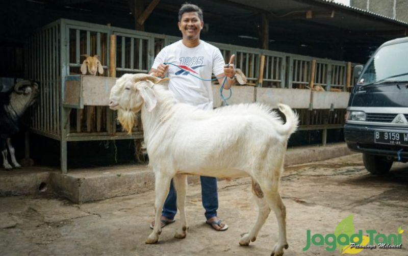 uploads/news/2022/02/lunasi-hutang-bank-dari-54995782f42d892.jpg