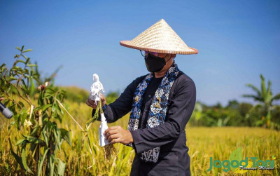 uploads/news/2022/02/tradisi-panen-padi-di-99720cad81b7d0d_400.jpg
