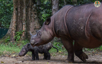 uploads/news/2022/03/8x-keguguran-rosa-melahirkan-70388d76f3f16ca_400.jpeg